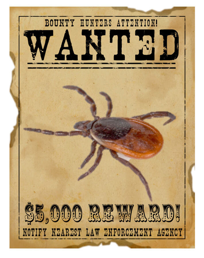 Wanted: De Teek